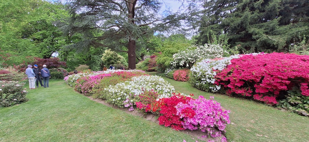 Ramster Gardens visit